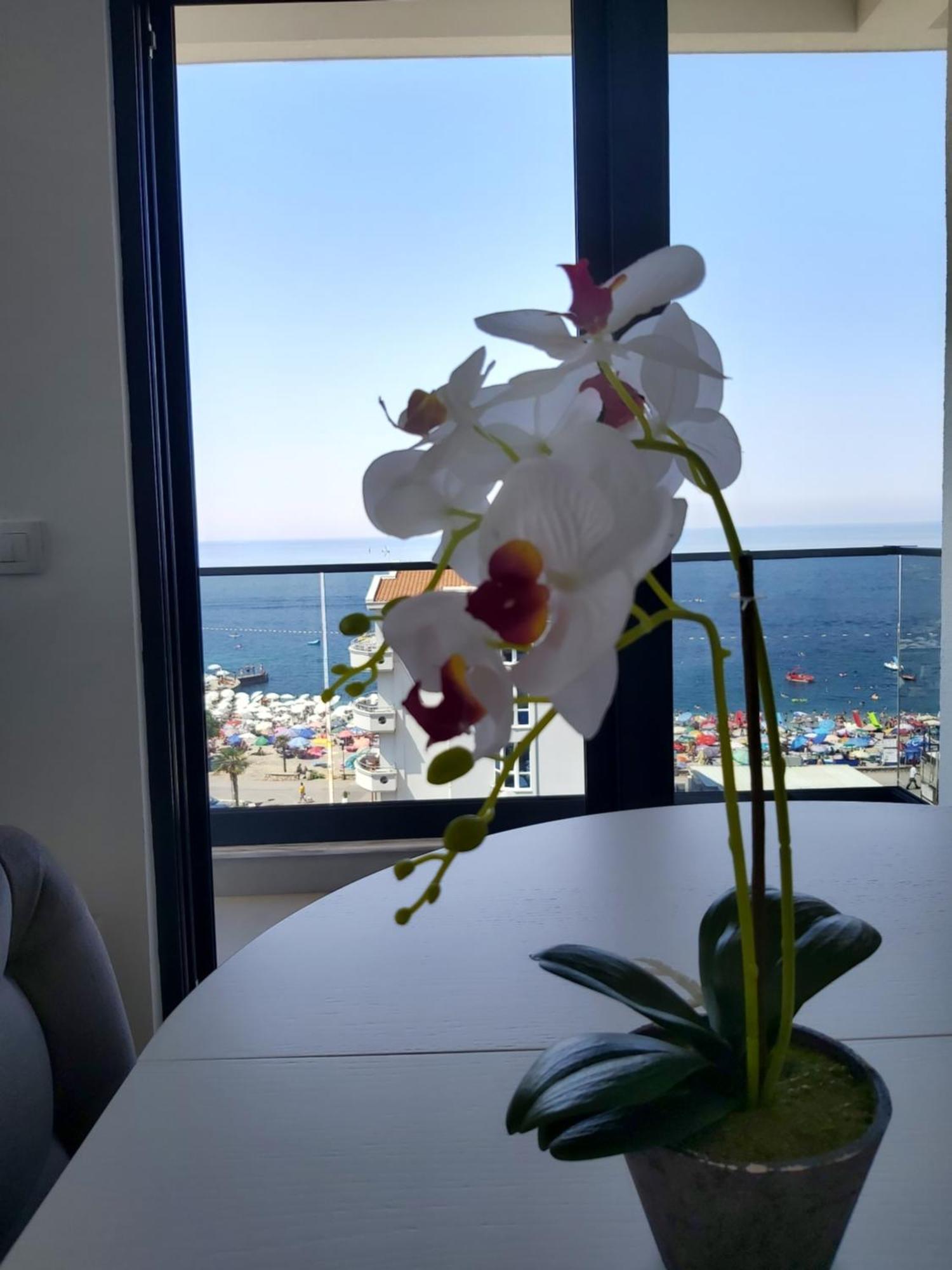 Apartmani Aida Dobra Voda Εξωτερικό φωτογραφία